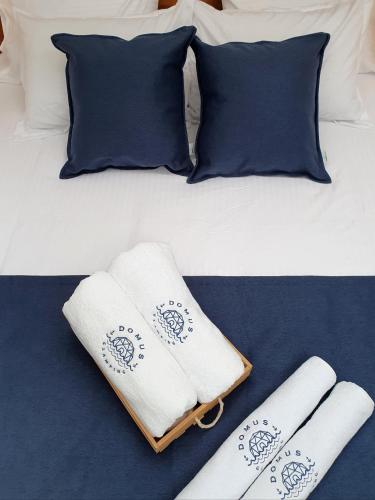 Domus Glamping Guatape