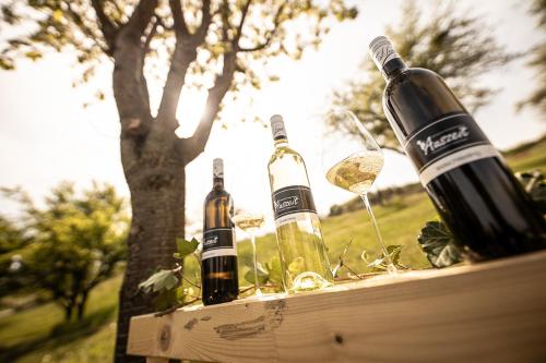 Comida y bebida, Weingarten & Appartement Auszeit with private Spa in Loipersdorf