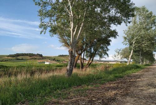 Casa Rural La Morena