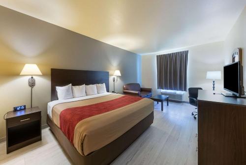 Econo Lodge Inn & Suites Bridgeport - image 7