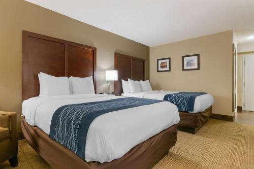 Comfort Inn & Suites Durham near Duke University