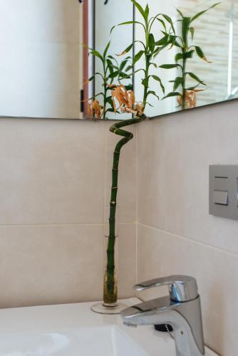 Hostly Plaza de Armas Lightfull loft-Center-Parking op-CLess, Sevilla (Foto 9)