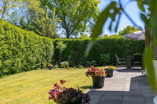 Prinsenhof 68 - Ouddorp garden with privacy and a sauna for two - image 7