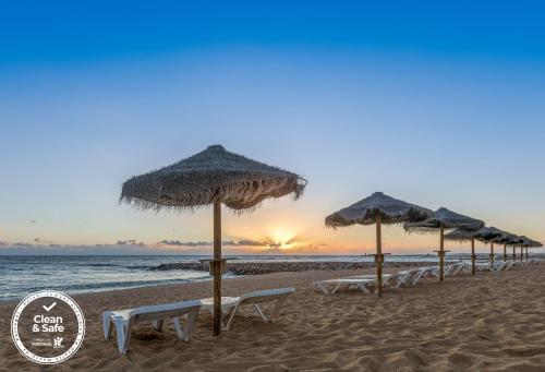 Dom Jose Beach Hotel (Plus) - image 4
