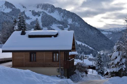 Chalet le Petit Ramoneur Chatel