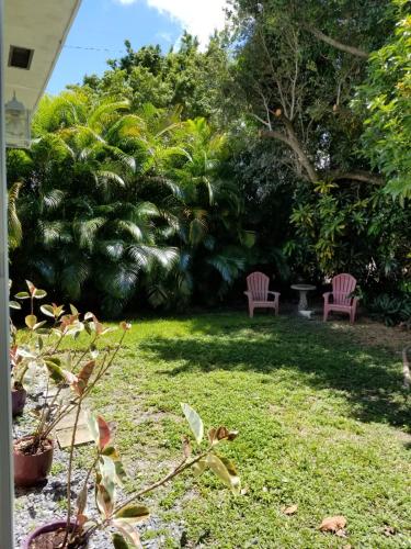 LUXURY Guayabitas House in Miami, USA