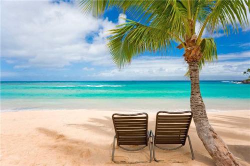 Kauhale Makai 125 - 1 Bedroom Ground Floor Condo Ocean Front Resort Pool - image 3