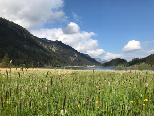 Das Haldensee in Nesselwängle, Österreich