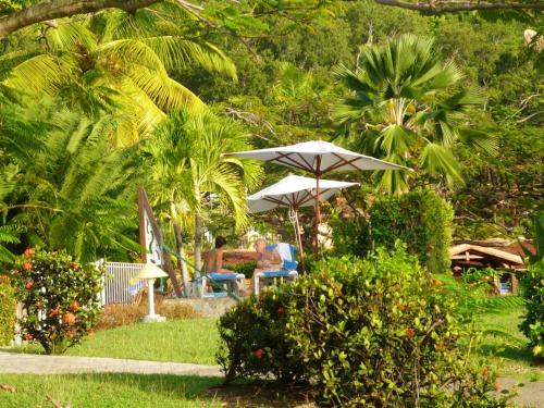 Appartement d'une chambre a Sainte Anne a 500 m de la plage avec piscine privee jardin clos et wifi