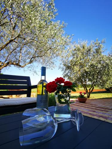  Apartment Ulika, Unterkunft in Marčana