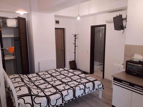 Palas Studios, Iaşi (Foto 9)