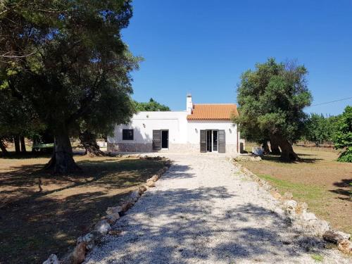 3 bedrooms house with furnished garden at Serranova 1 km away from the beach gîte à louer Serranova