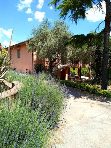One bedroom villa with city view enclosed garden and wifi at Caltanissetta gîte à louer Santa Caterina Villarmosa