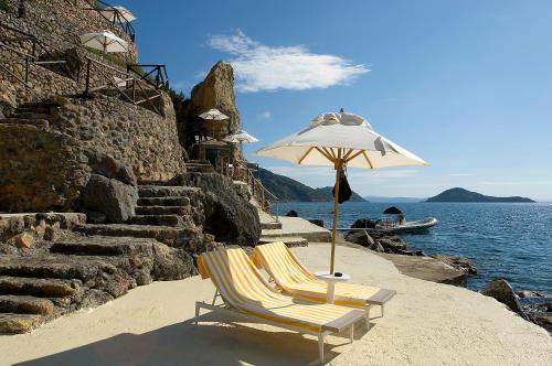 25470589 Il Pellicano