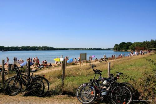 Maison 4 personnes en bord de mer - Golfe du Morbihan