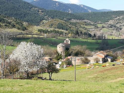 Alberg Rural La Rectoria de Pedra - Accommodation - Bellver de Cerdanya