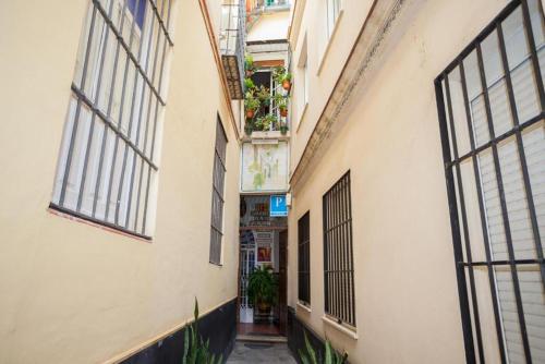 Pension San Pancracio, Севилья (фото 10)