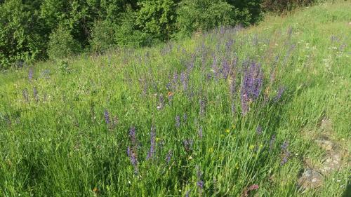 Le Baite di Baudinet - Trek&Relax