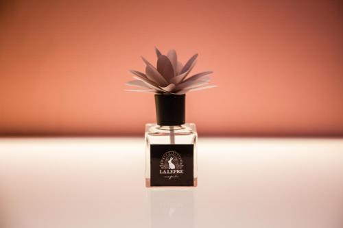 La Lepre Napoli - image 5