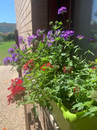  Casa Groppino in Monteroni dʼArbia