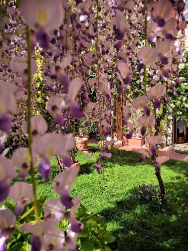 Al Giardino Di Alice - image 7