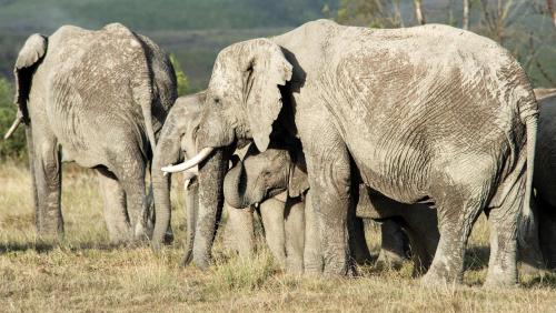 Gondwana Game Reserve