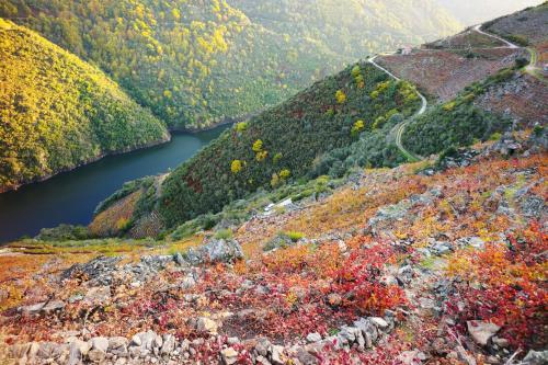 Casa Turística Viladonatus (Ribeira Sacra)