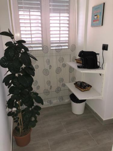 Dal Barce Rooms, Palermo (fotografie 5)