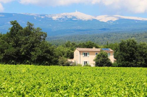 La Bastide de l'Olivier - Accommodation - Flassan