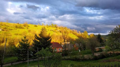 Accommodation in Lazeshchyna