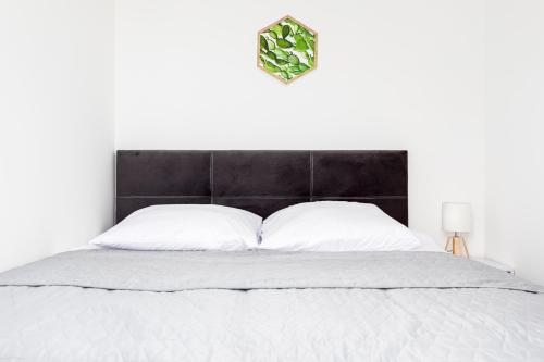 Przytulny apartament 62 centrum Szczecina