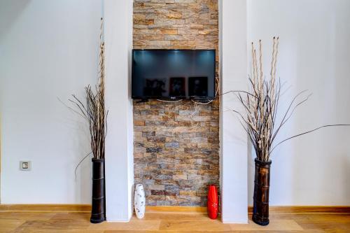 Vila Pekovic, Pine Trees View Apartment with big balcony in The Center of Zlatibor! - Zlatibor