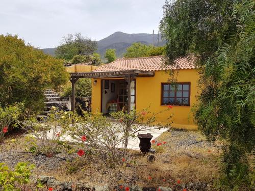  One bedroom appartement with shared pool and garden at Los Llanos 9 km away from the beach in Los Llanos de Aridane