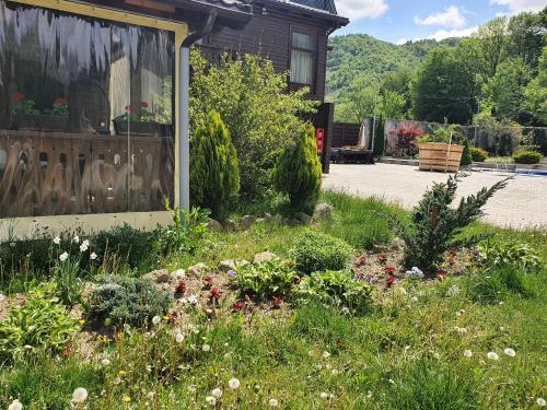 Pensiunea Roua Muntelui in Salciua De Sus