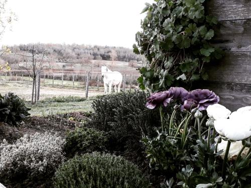 Podere Pievina Delle Corti - Suites - image 3