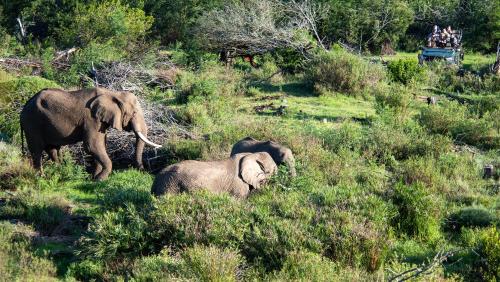 Gondwana Game Reserve