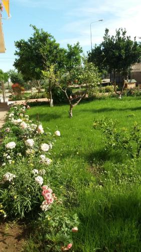 Guesthouse Fatos Biti - image 11