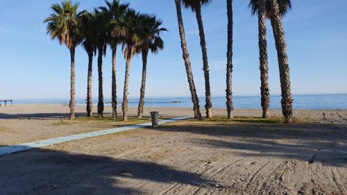  TROPICAL AVENIDA ANDALUCIA in Almuñécar