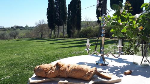 Podere Pievina Delle Corti - Suites - image 8