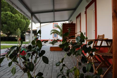  Casa das Pipas #2, Pension in Pinhal Novo