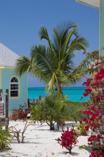 Paradise Bay Bahamas In Bahamas