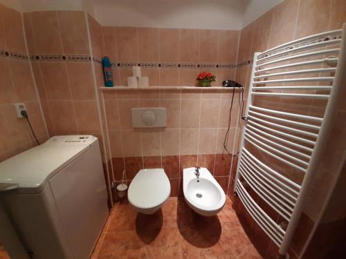 Apartment No. 2 Tržiště 29 - main image