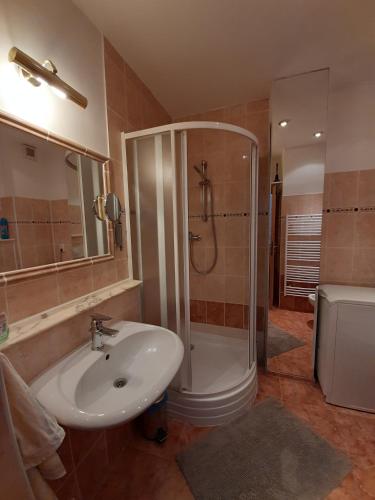 Apartment No. 2 Tržiště 29 - image 6