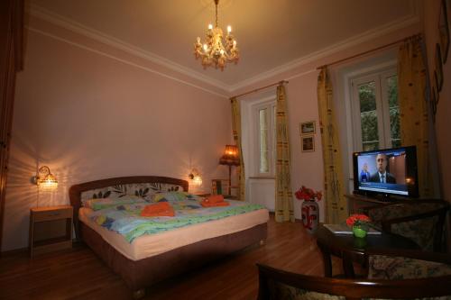 Apartment No. 2 Tržiště 29 - image 9