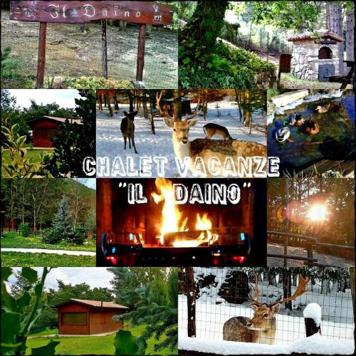 Chalet Vacanze Il Daino 1