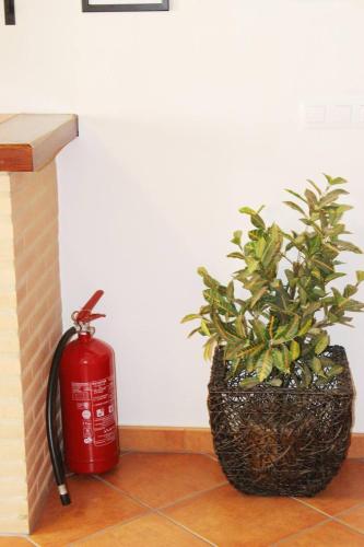 Un paraíso en Grazalema (Un paraiso en Grazalema) in 格拉薩萊馬