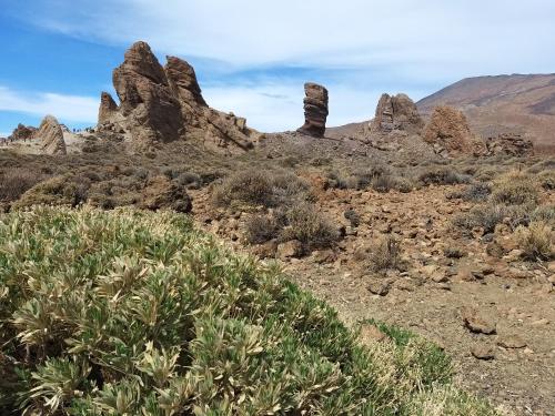 Tenerife PLAYA LA ARENA