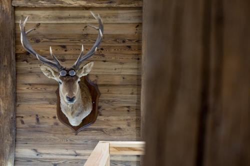 Chalet Le Lodge