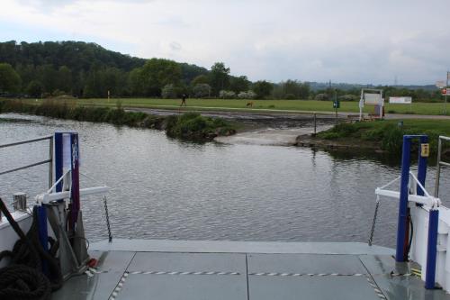 Grüner Blick