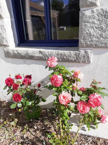 LE CLOS DES ABERS - image 3